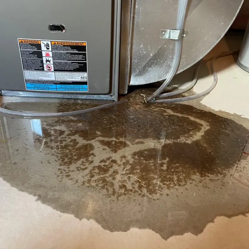 Appliance Leak Cleanup in Durham, NC